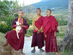 Three Monks & Cat.jpg